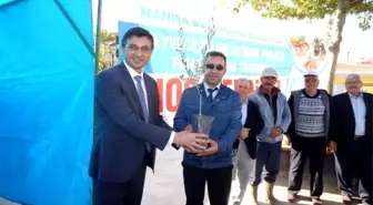 Sarıgöl'de Çiftçilere Zeytin Desteği