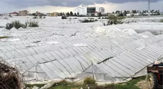 Alanya'da Dolu Seralara Zarar Verdi