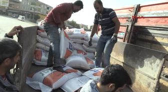Gaziantep Oğuzeli'nde Çiftçilere Mercimek Tohumu