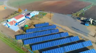 Güneşi Gören İdareciler'... Bu Tesislerde Elektrik Yerine Güneş Enerjisi Kullanılıyor