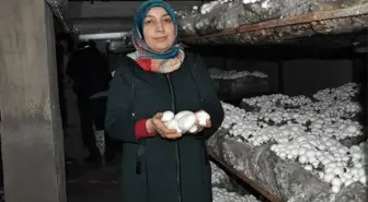 Girişimci Ev Hanımının Yüzünü Kültür Mantarı Güldürdü