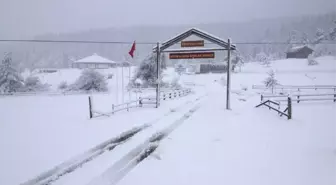 Kastamonu'da Etkili Olan Kar Yağışı Elektrik Tellerini Kopardı