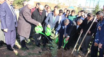 Bakan Yardımcısı Tüfekçi Okul Bahçesine Fidan Dikti