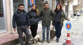 Öğrenciler, Yolda Buldukları Bitkin Köpeği Tedavi Ettirdi