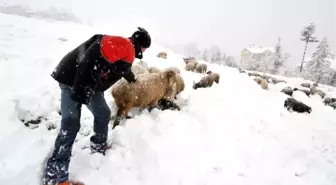 Doğu Karadeniz'de Kar Esareti