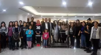 AK Parti İl Başkanı 80 Kiloluk Balık Tuttu