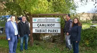 Çamlıkoy Tabiat Parkında İnceleme ve Denetlemeler Yapıldı