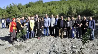 Hatay'da Öğrenciler Narenciye Bahçesi Kurdu