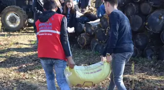 Üreten Gençlik Oldular, Tarlaya Buğday Ektiler