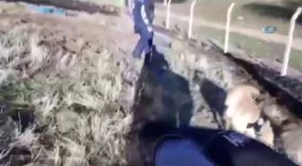 Aksaray Toprağa Gömülmüş 4 Bin 665 Uyuşturucu Hap Ele Geçirildi