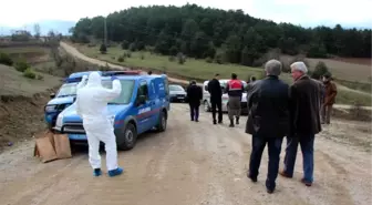 Bolu'da Yol Kenarında Erkek Cesedi Bulundu