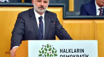 Hdp'li Bilgen: Ohal Değil Demokrasi Diyoruz