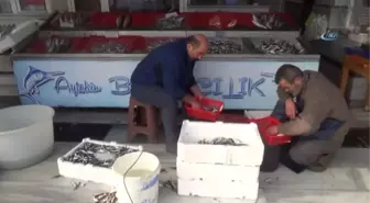 Olumsuz Hava Şartları Balık Tezgahlarını Boş Bıraktı