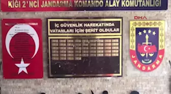 Bingöl'de Operasyonlar Sürüyor