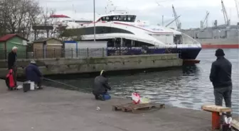 Lodos Etkili Oldu, Deniz Otobüsü Geri Döndü