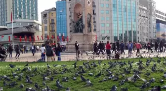 İstanbullular, Yazdan Kalma Bir Gün Yaşadı