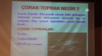 Çorak Toprakların Islahı ve Tarımsal Üretimde Kullanma Olanakları' Paneli