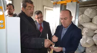 Kaymakam Kaşıkçı, Aspir Yağı Fabrikasını İnceledi