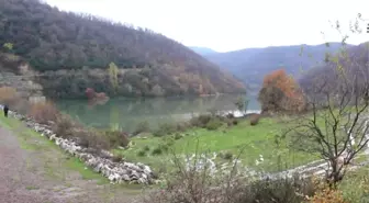 Çiçek Üreticilerinin Sulama Talebi
