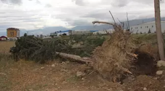 Hatay'da Şiddetli Fırtına Hayatı Felç Etti