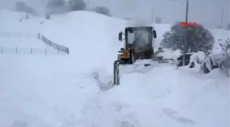 Ardahan Doğu'da Buz Tuttu