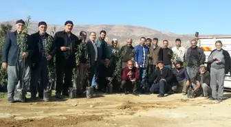 Çiftçilere 11 Bin 805 Fidan Dağıtıldı