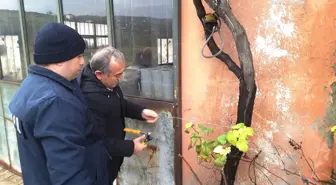 İzmit'te Mantar Paketleme Tesisine Mühürlendi
