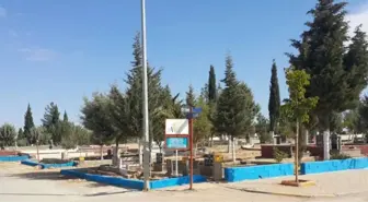Mezarlıkta 'Renkli Adalar' Uygulaması