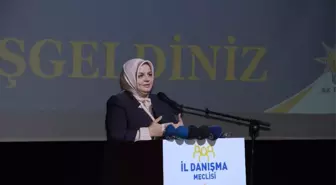 Düzce Milletvekilleri Komisyonlarda