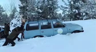 Göçmen Bozayılar Kış Uykusuna Yattı