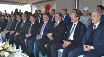 Ayvalık'taki Cennet Koyu Ağaçlandırılıyor