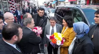 Haluk Levent ve Bakan Eroğlu'dan Şarkılı Fidan Dikimi (2)