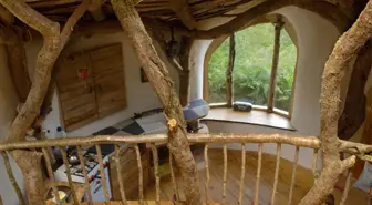 Hobbit Köyü Gibi Ama Gerçek: Low-Impact Woodland House