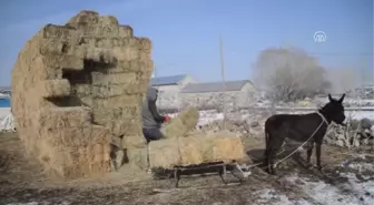 Doğu Anadolu'da Soğuk Hava - Ağrı