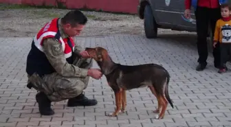 Cesur'un Mehmetçik'e Kavuşma Anları Duygulandırdı