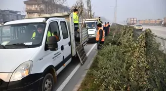 Bursa-Ankara Yolu Ağaçlandırıldı