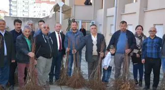 19 Mayıs'ta Çiftlere Kestane Bahçesi