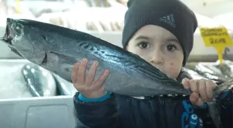 Kahramanmaraş'ta Balık Fiyatları Tavan Yaptı