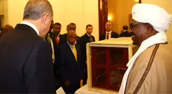 Cumhurbaşkanı Erdoğan'a Sudan'da Aslan Yavrusu Hediye Edildi