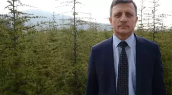 Yılbaşı Öncesi Cam Ağacı Uyarısı