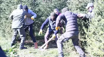 İstanbul'da Yılbaşı Öncesi Kaçak Çam Ağacı Operasyonu