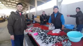 Karadeniz Hamsisi 10 Liraya Düştü