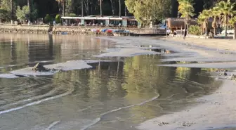 Akyaka'da Deniz Çekilmesi