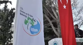 Eskişehir'de Yılbaşına Özel Ağaç Dağıtımı