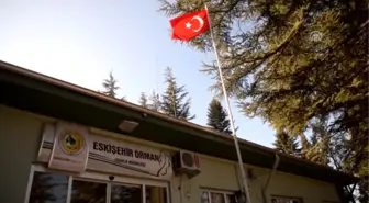 Fidanları 'Nikahların Şahidi' Oldu