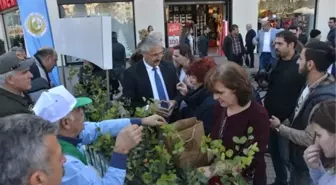 Mersin'de Vatandaşlara 5 Bin Fidan Dağıtıldı