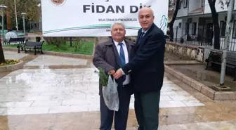 Yeni Yıla Fidan Dikerek Girecekler