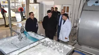 Vali Arslantaş, Erzincan Süt Toplama Soğutma ve Süt Analiz Merkezi'ni İnceledi