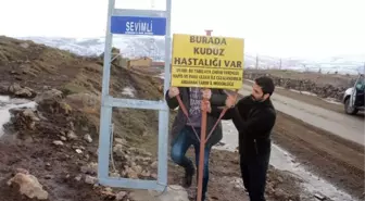 Ardahan'da 1 İlçe ve 3 Köyde Kuduz Karantinası