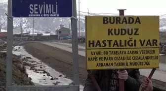 Ardahan'da Bir İlçe ve Üç Köy Karantinaya Alındı